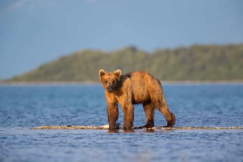 Alaska 2017